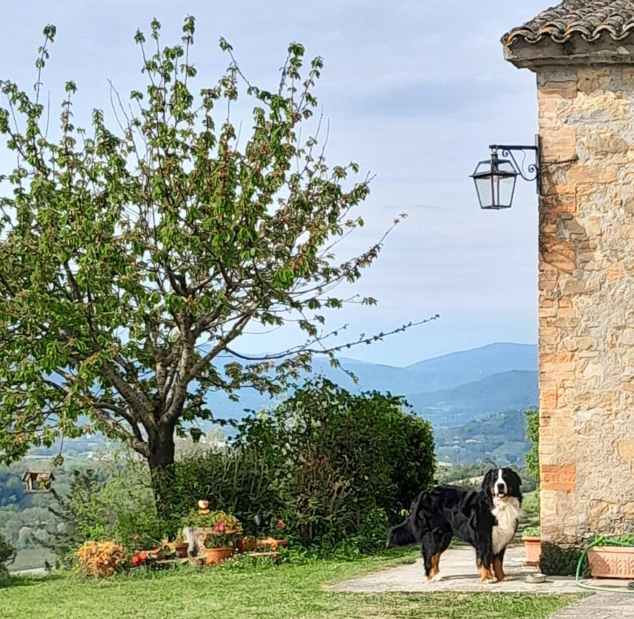 Agriturismo Monterosello Città di Castello Kültér fotó
